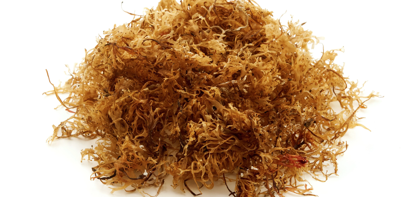 Sea Moss