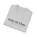  Ordo Ab Chao T-Shirt