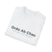  Ordo Ab Chao T-Shirt