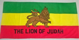 BEACH TOWEL BEACH TOWEL